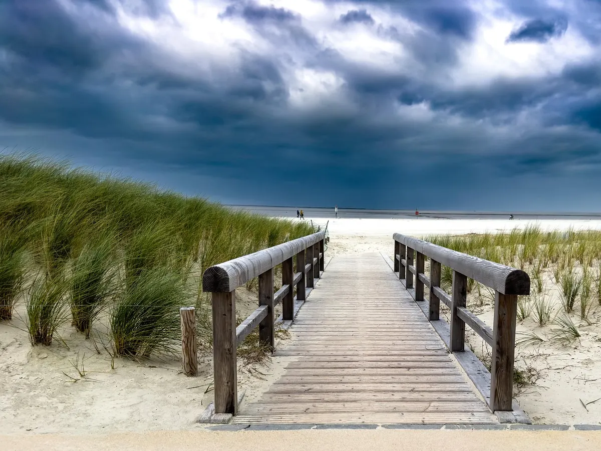 Seasonal Guide to the North East Coast: What to Do in Spring, Summer, Autumn, and Winter